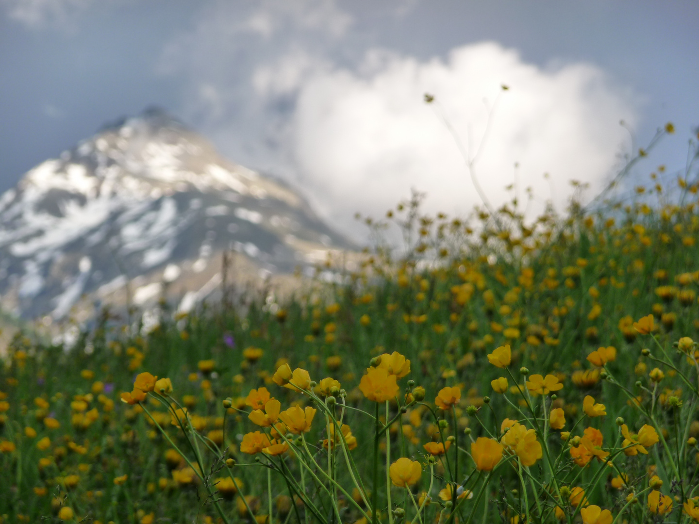 Eine freundliche Wolke...