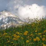 Eine freundliche Wolke...