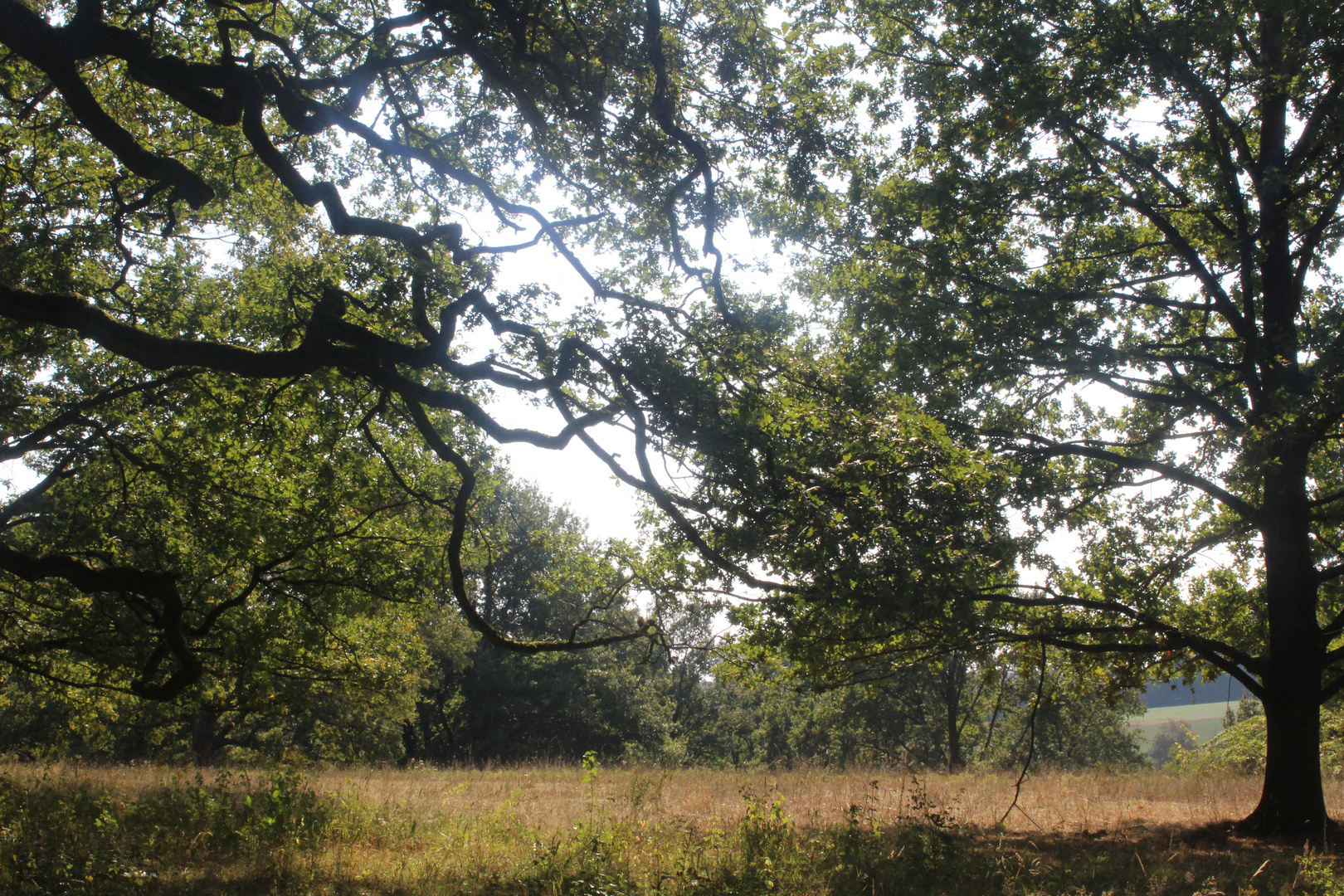 EINE FREUNDSCHFT MIT DEM HERBST