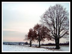 eine friedliche und besinnliche zeit!?