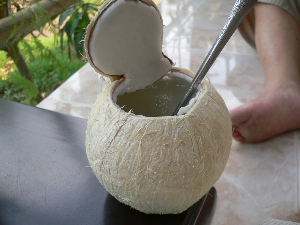 Kokosnuss Frisch Kokosnuss Frisch