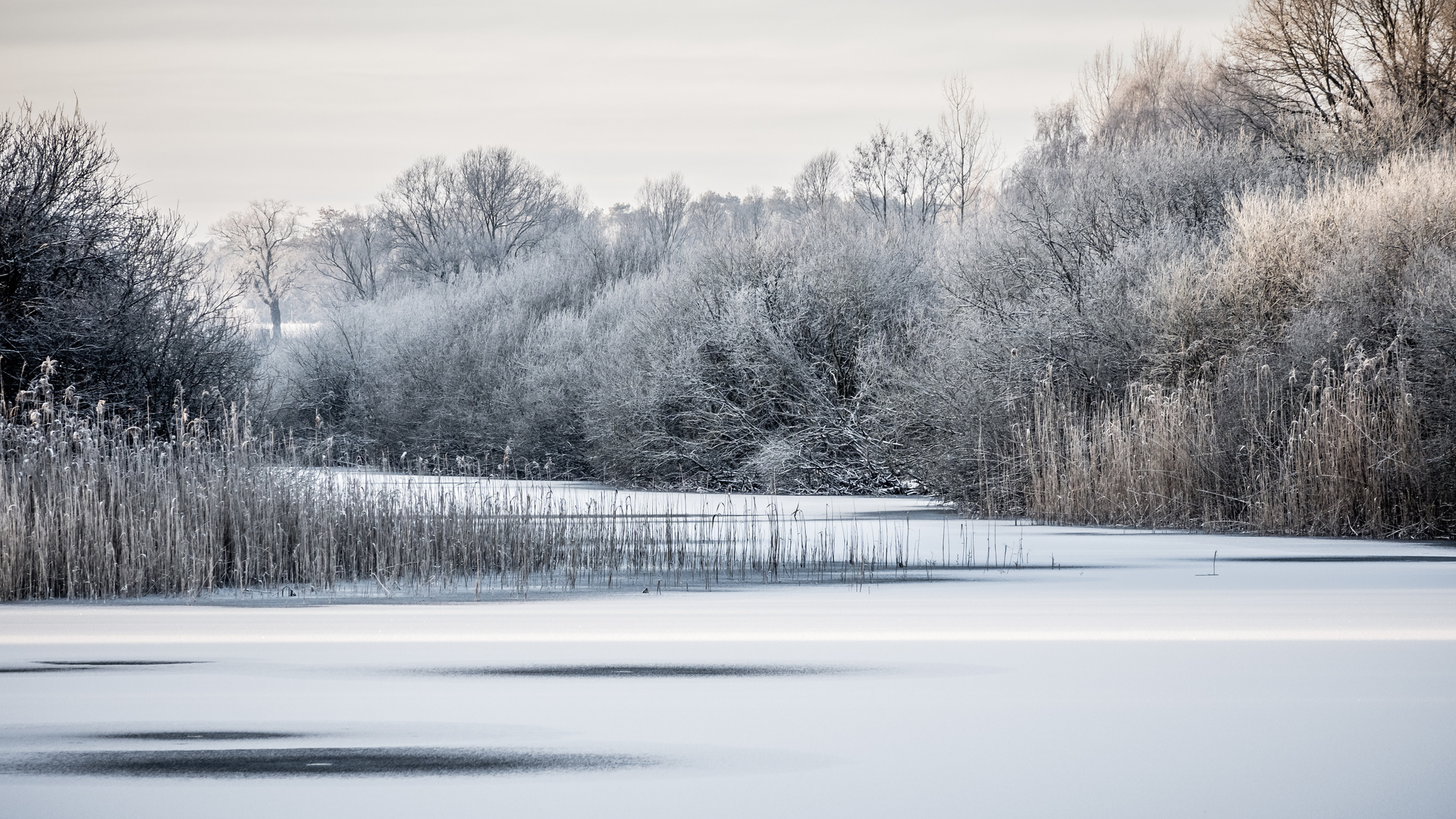 Eine frostige Angelegenheit