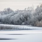 Eine frostige Angelegenheit