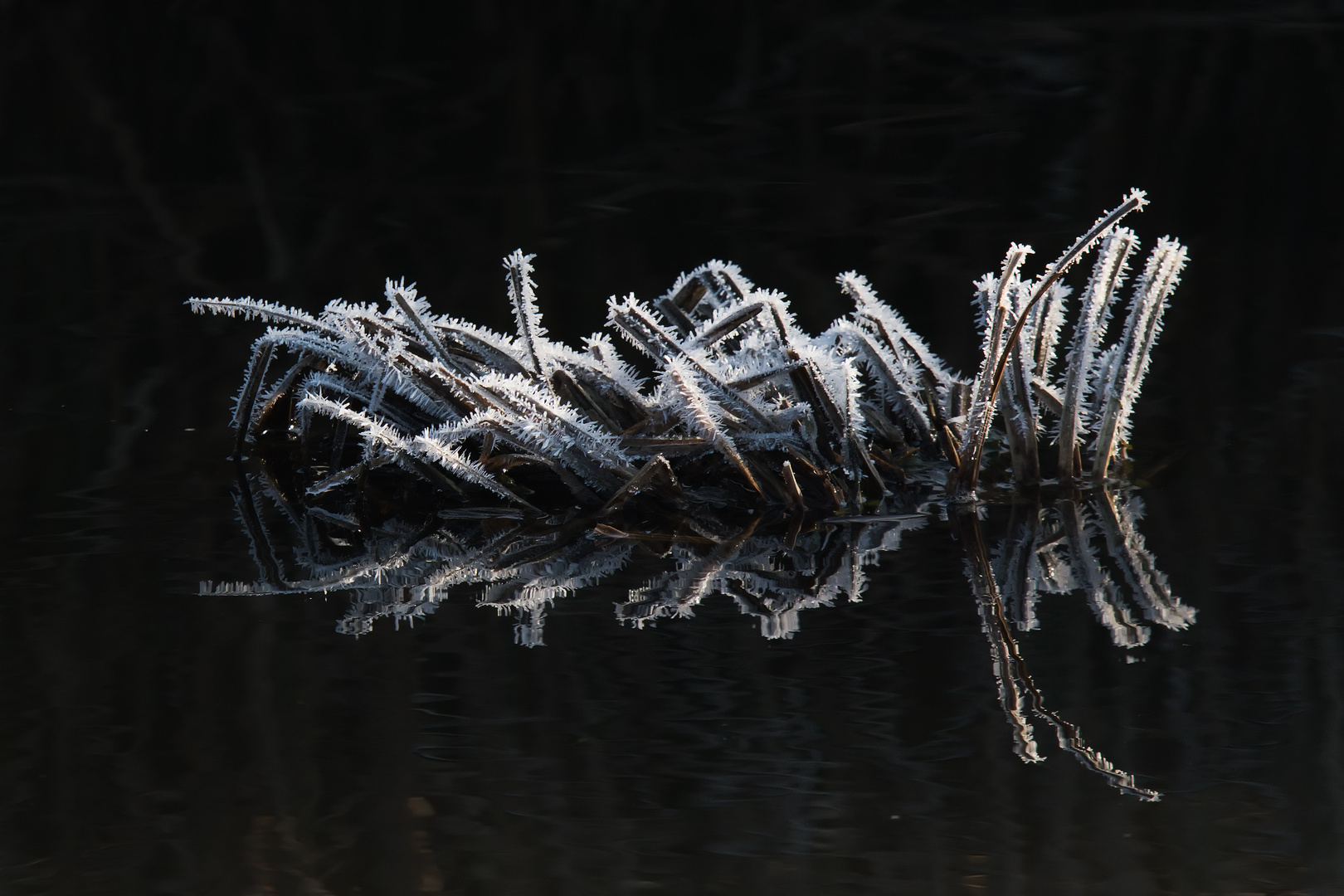 Eine frostige Angelegenheit