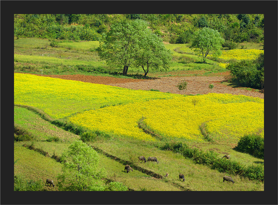 Eine fruchtbare Landschaft