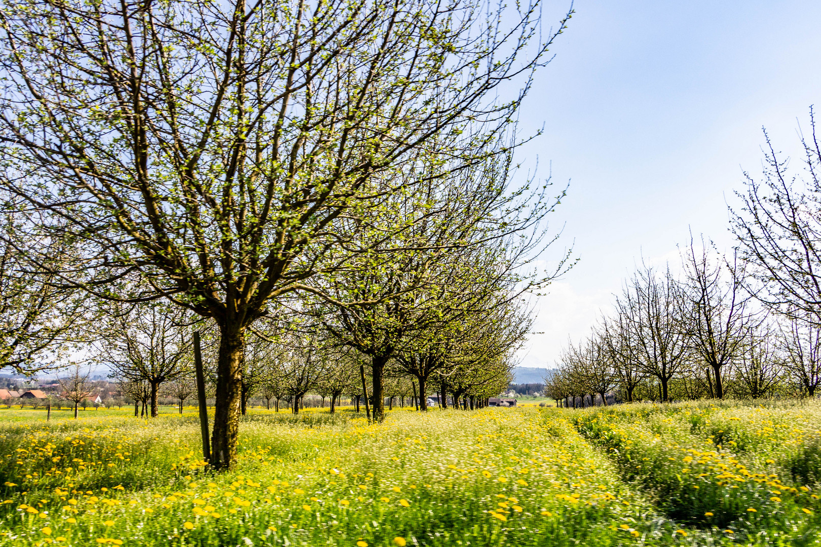 Eine Frühlingsfahrt