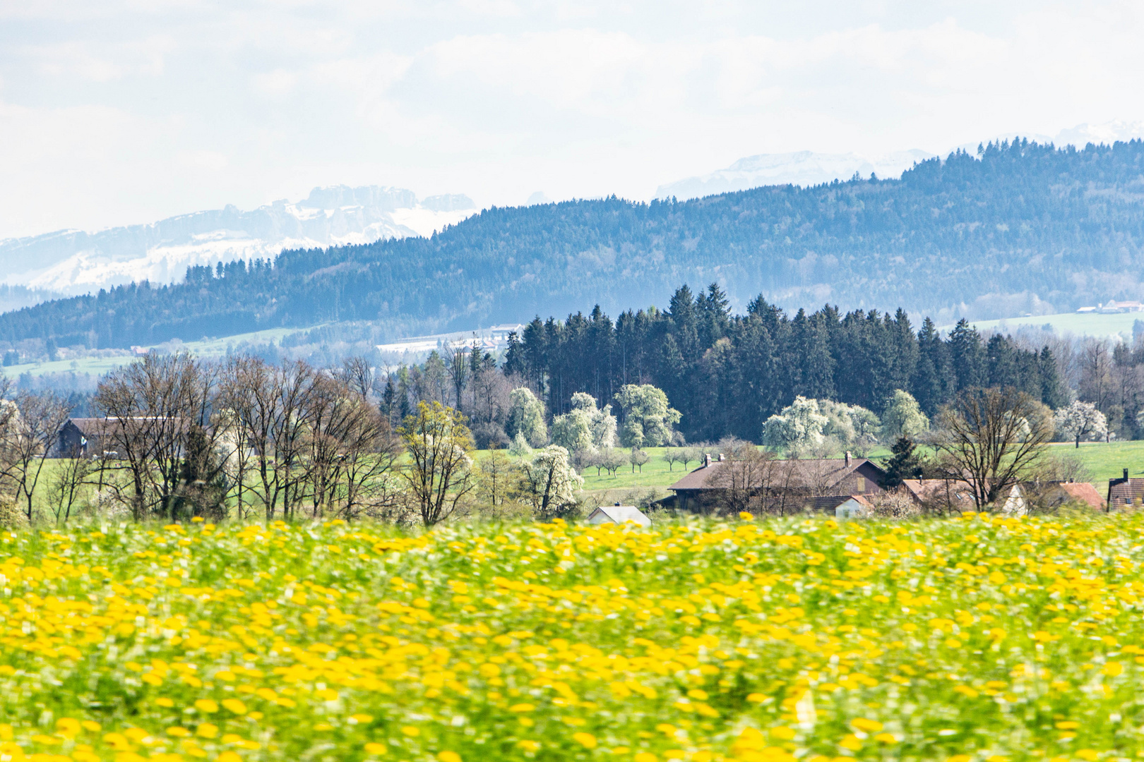 Eine Frühlingsfahrt