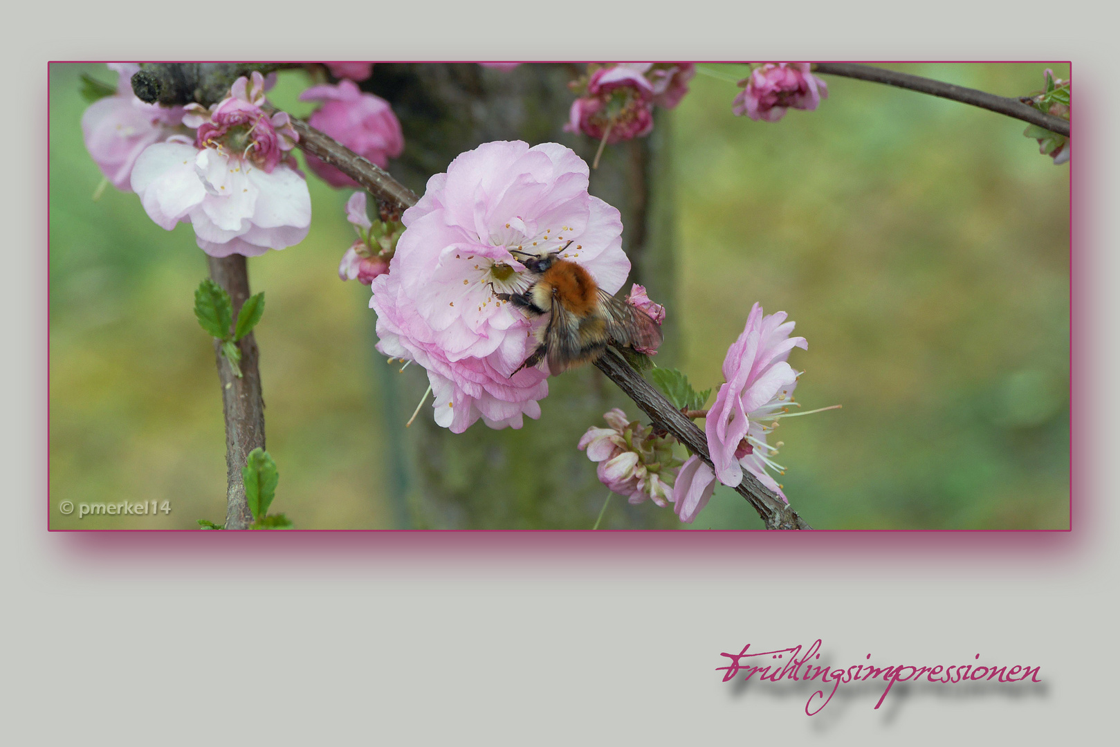 Eine Frühlingsimpression vom heutigem Tag