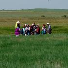 eine Führung am Wattenmeer