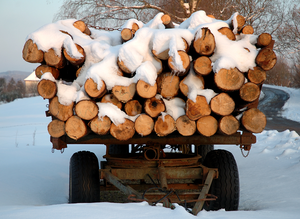 Eine Fuhre Holz