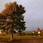 eine ganz eigentümliche Morgenstimmung auf dem Weg zur Arbeit