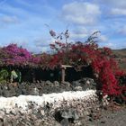 Eine "Gartenlaube" in El Golfo