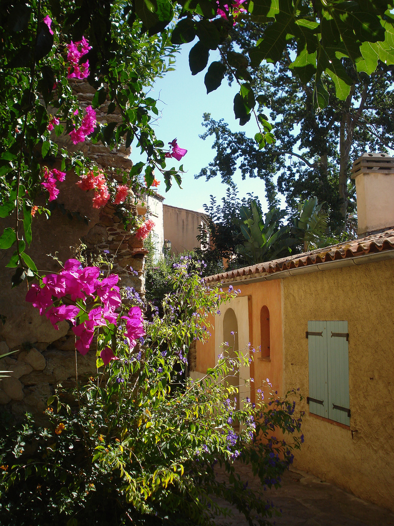 Eine Gasse in Bormes les Mimosas