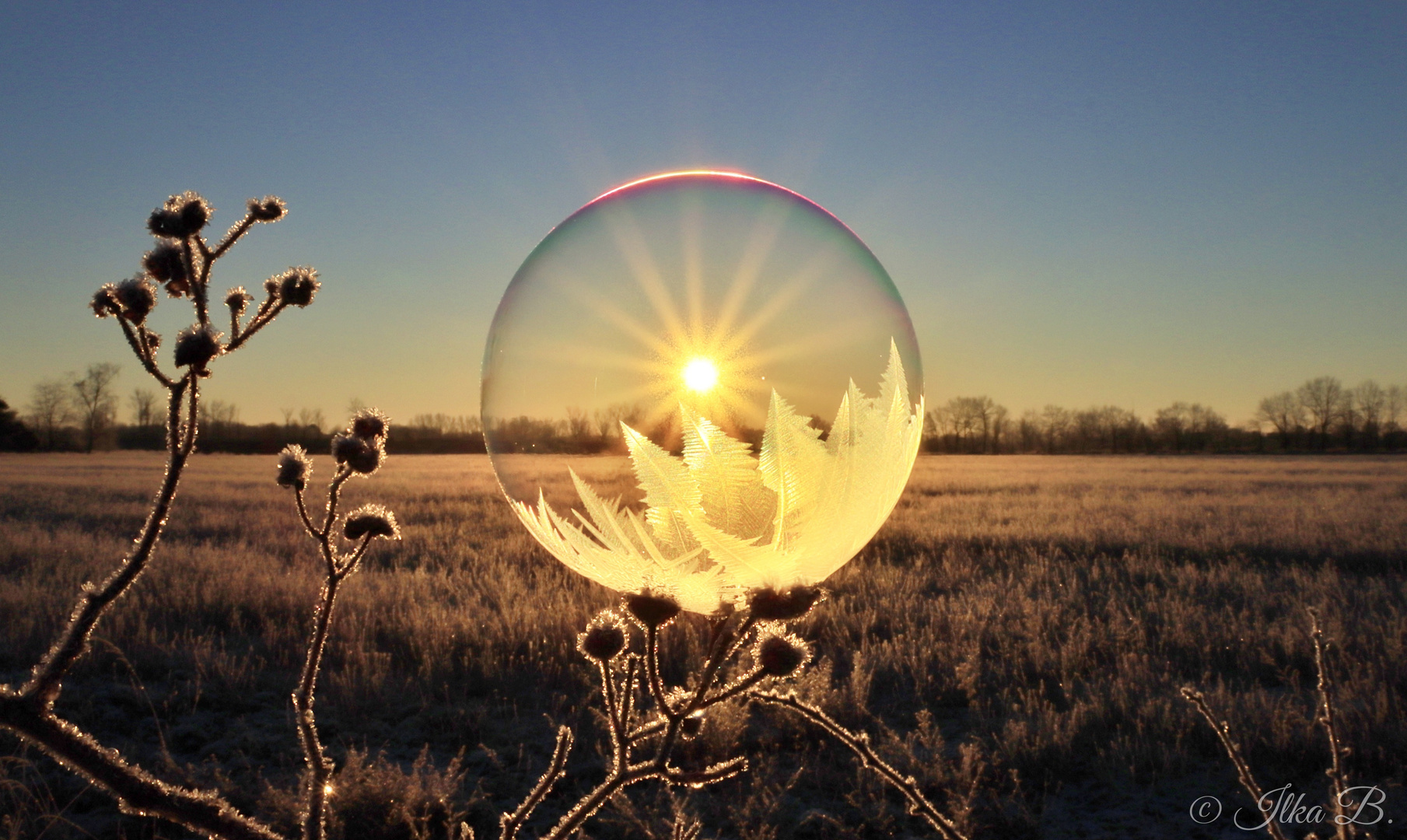 Eine gefrorene Seifenblase mit Sonnenaufgang