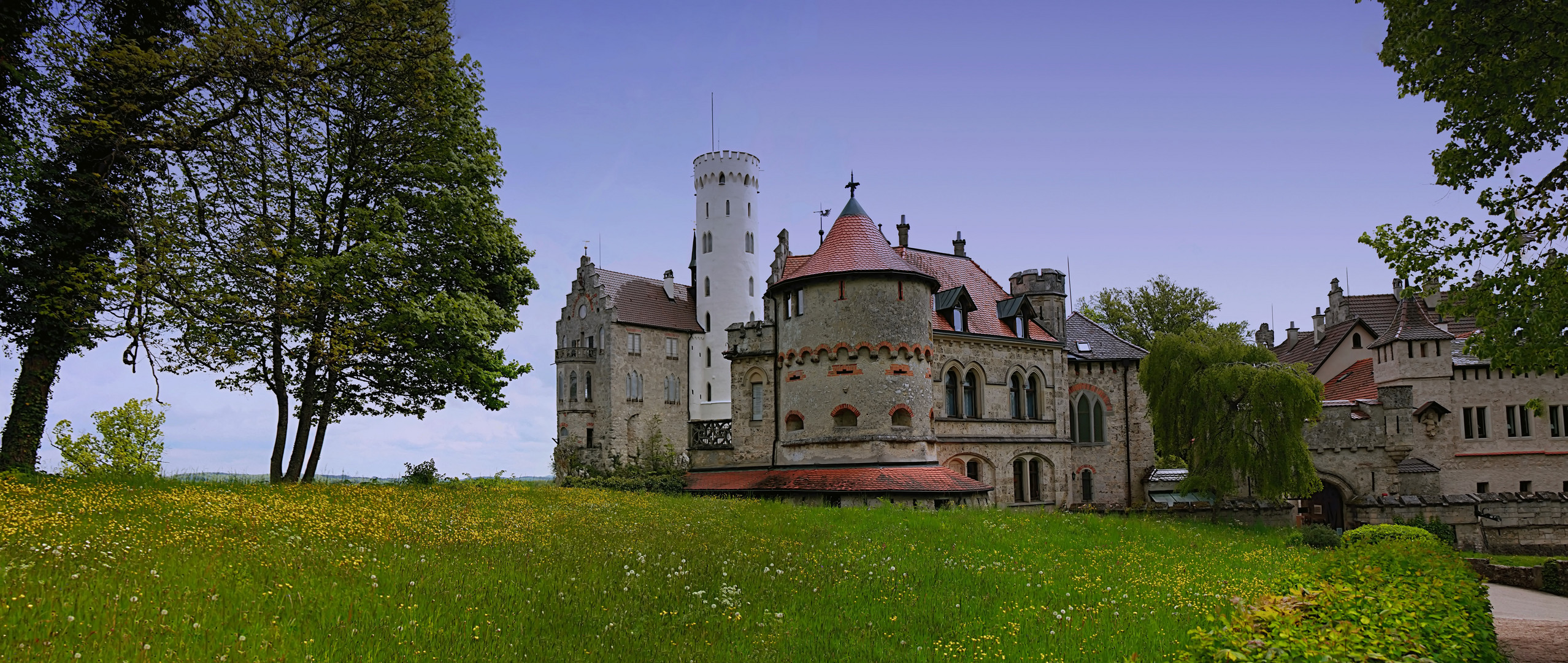 Eine Gelbe Wiese ,ein Schloss - Was will man mehr