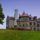 Eine Gelbe Wiese ,ein Schloss - Was will man mehr