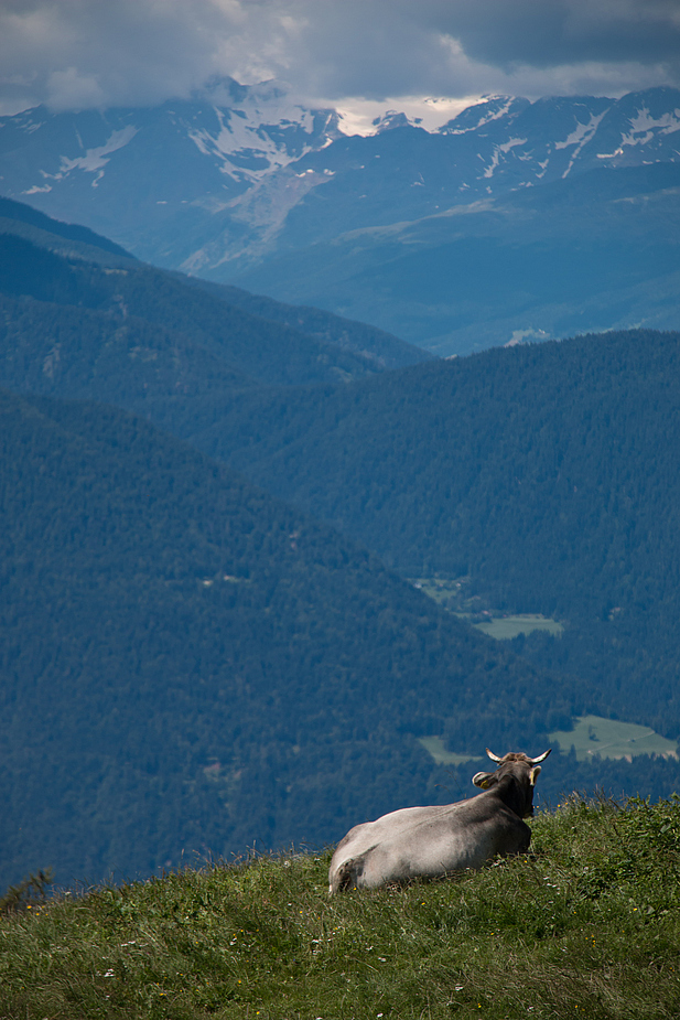 ... eine Genießerin der Landschaft