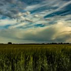 Eine Gewitterzelle in Mering auf dem Feld! 