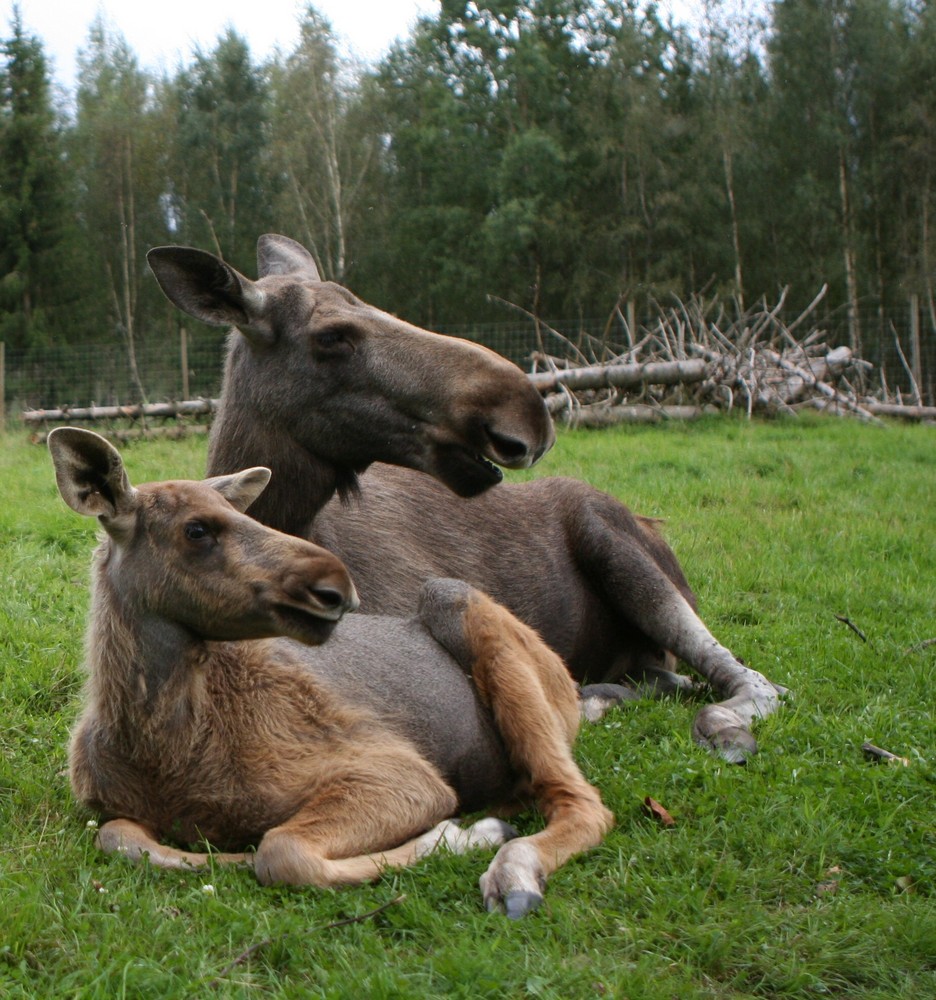 eine glückliche Familie :-)