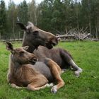 eine glückliche Familie :-)