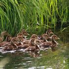 Eine glückliche Familie 