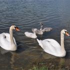 eine glückliche Familie