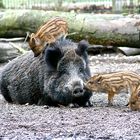 Eine glückliche Familie