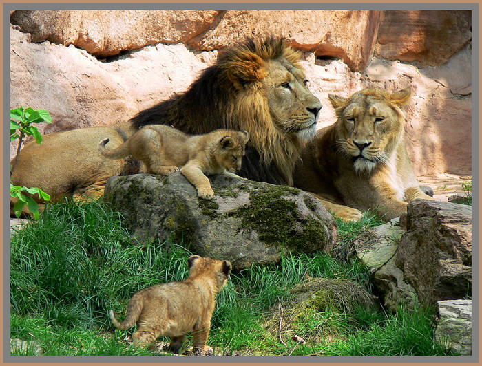 Eine glückliche Familie