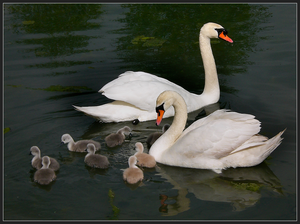 Eine glückliche Familie