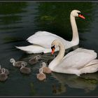 Eine glückliche Familie