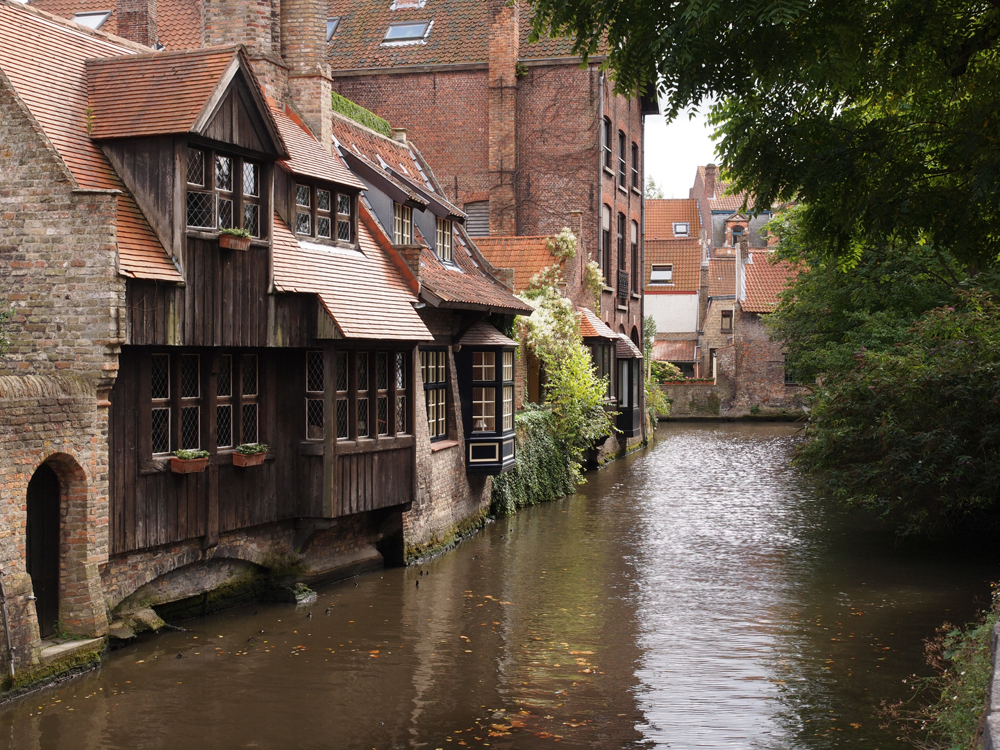 Eine Gracht in Brügge