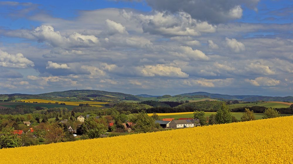 Eine gute Adresse war die Sächsische Schweiz Freitag Nachmittag...