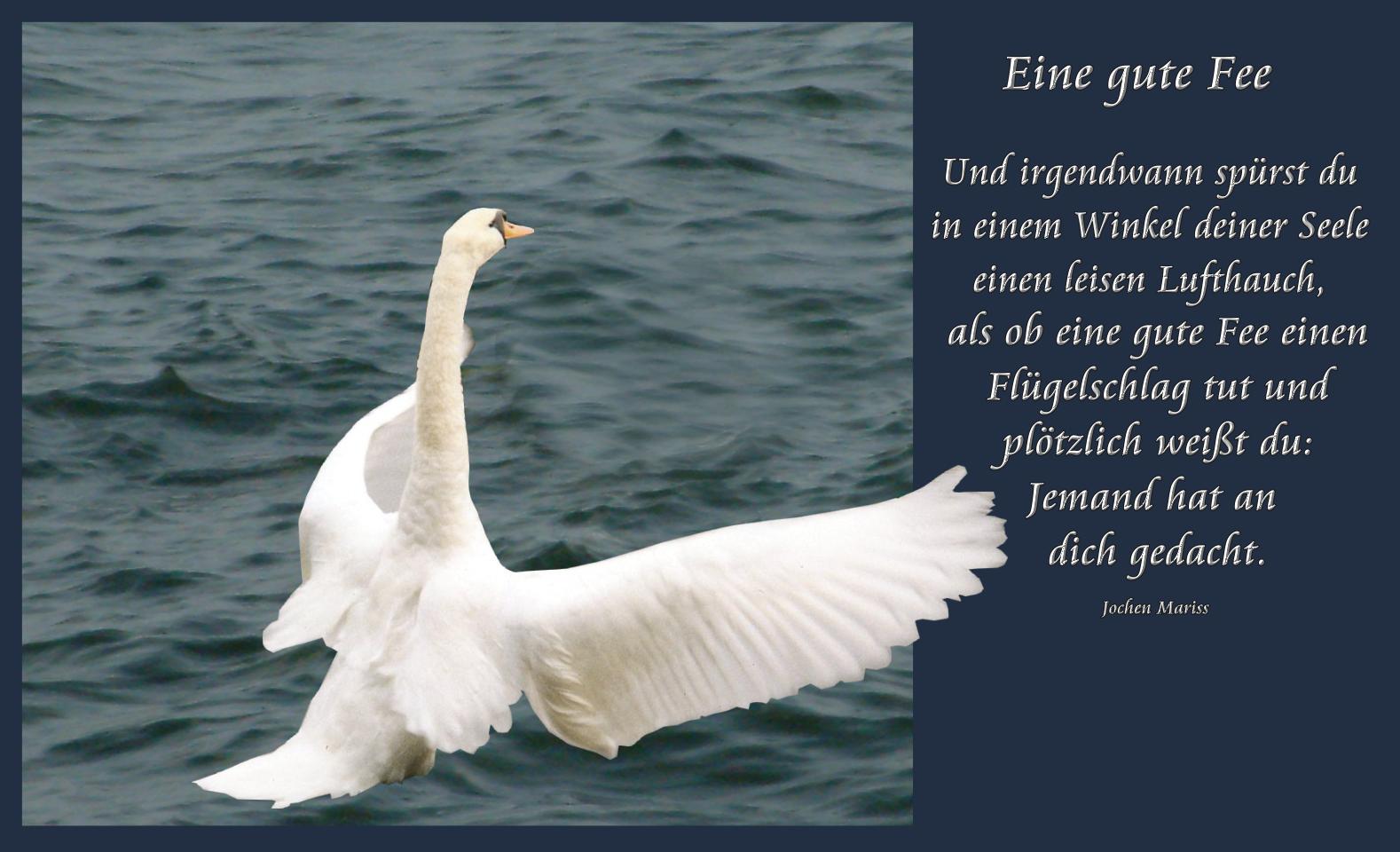 Eine gute Fee