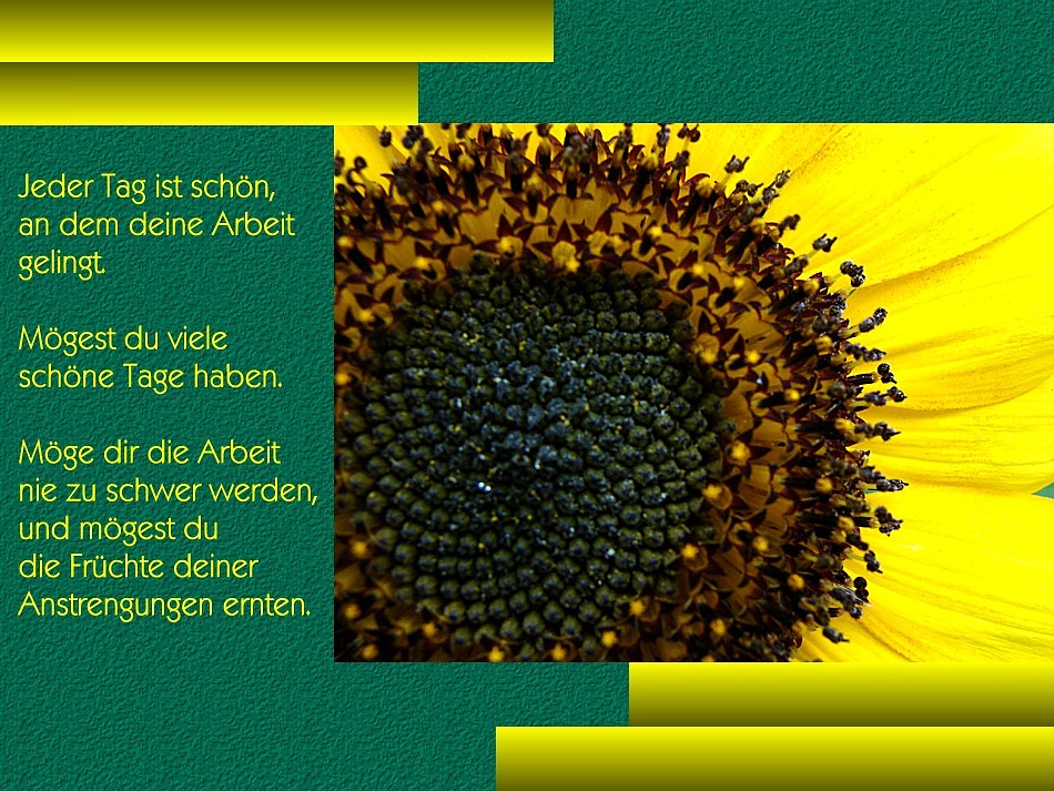 Eine gute neue Woche Foto Bild gratulation und Eine gute neue Woche Foto Bild gratulation und