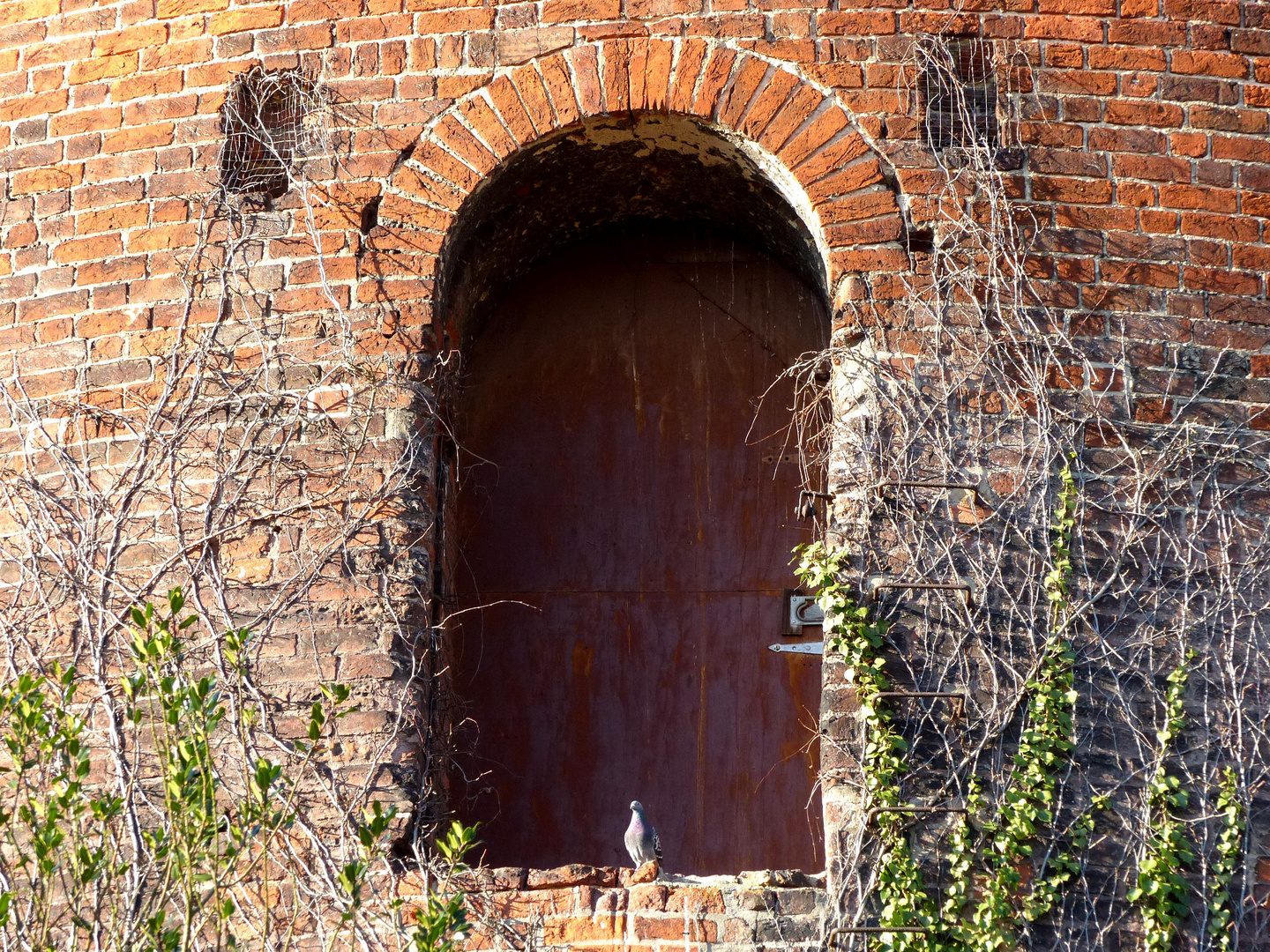 Eine gute Sicht hat sie von dort oben, vom Burgturm (12. Jh.) in Salzwedel.