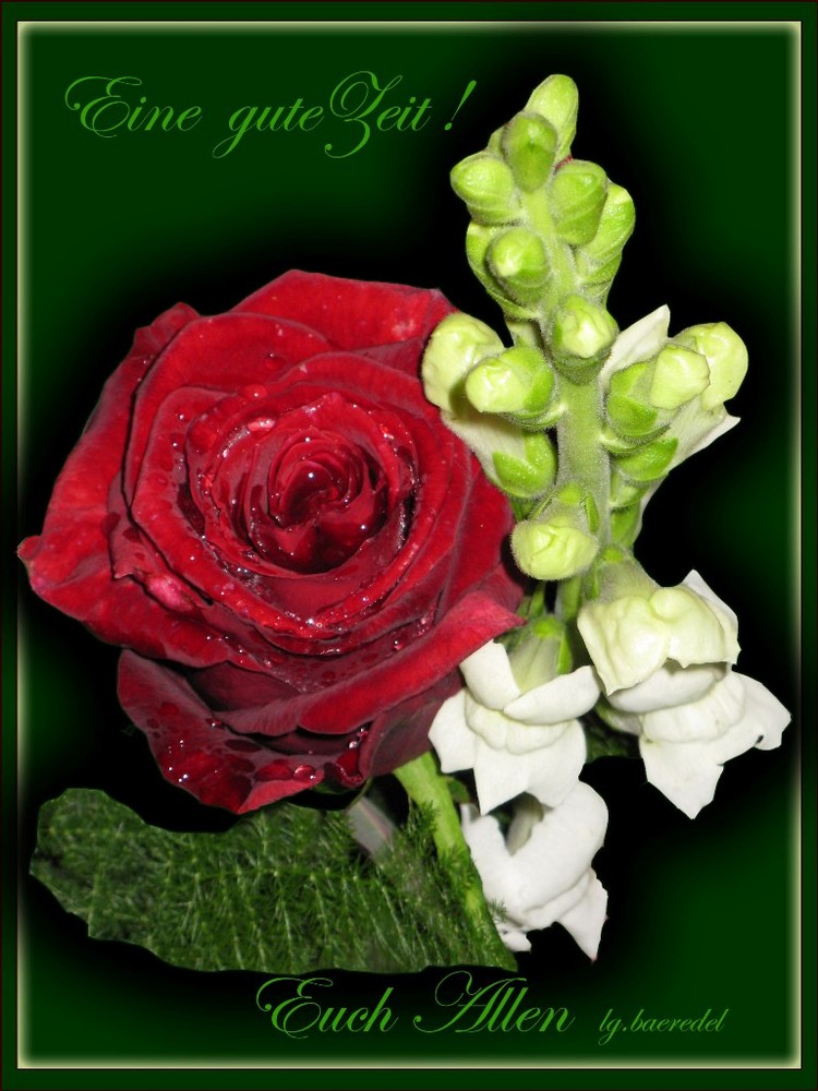 * Eine gute Zeit! Euch Allen * Foto & Bild gratulation und