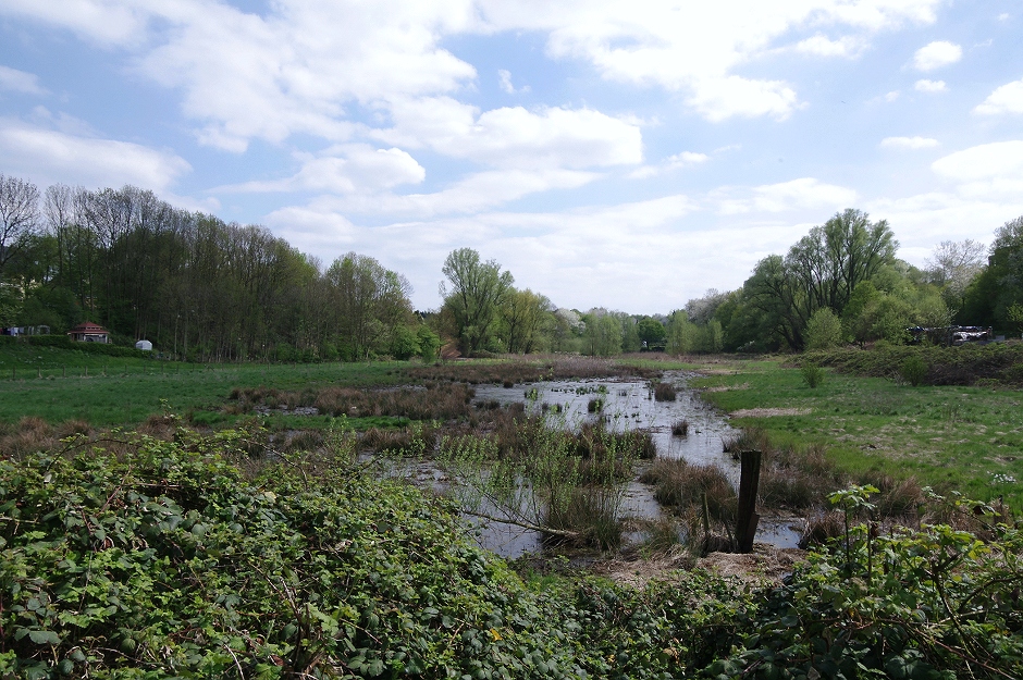 eine halbwegs wilde Wasserfläche