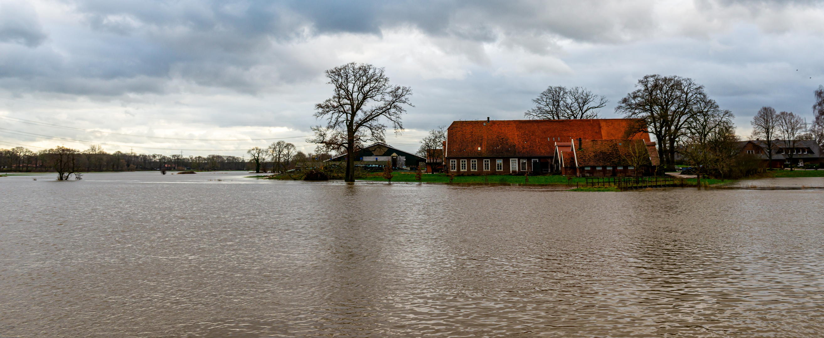 Eine "Hallig" in Südwestniedersachsen