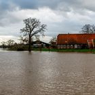 Eine "Hallig" in Südwestniedersachsen