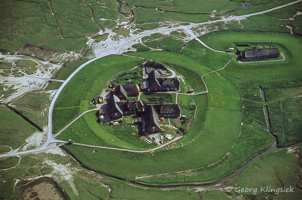 Eine Hallig zur Sommerzeit