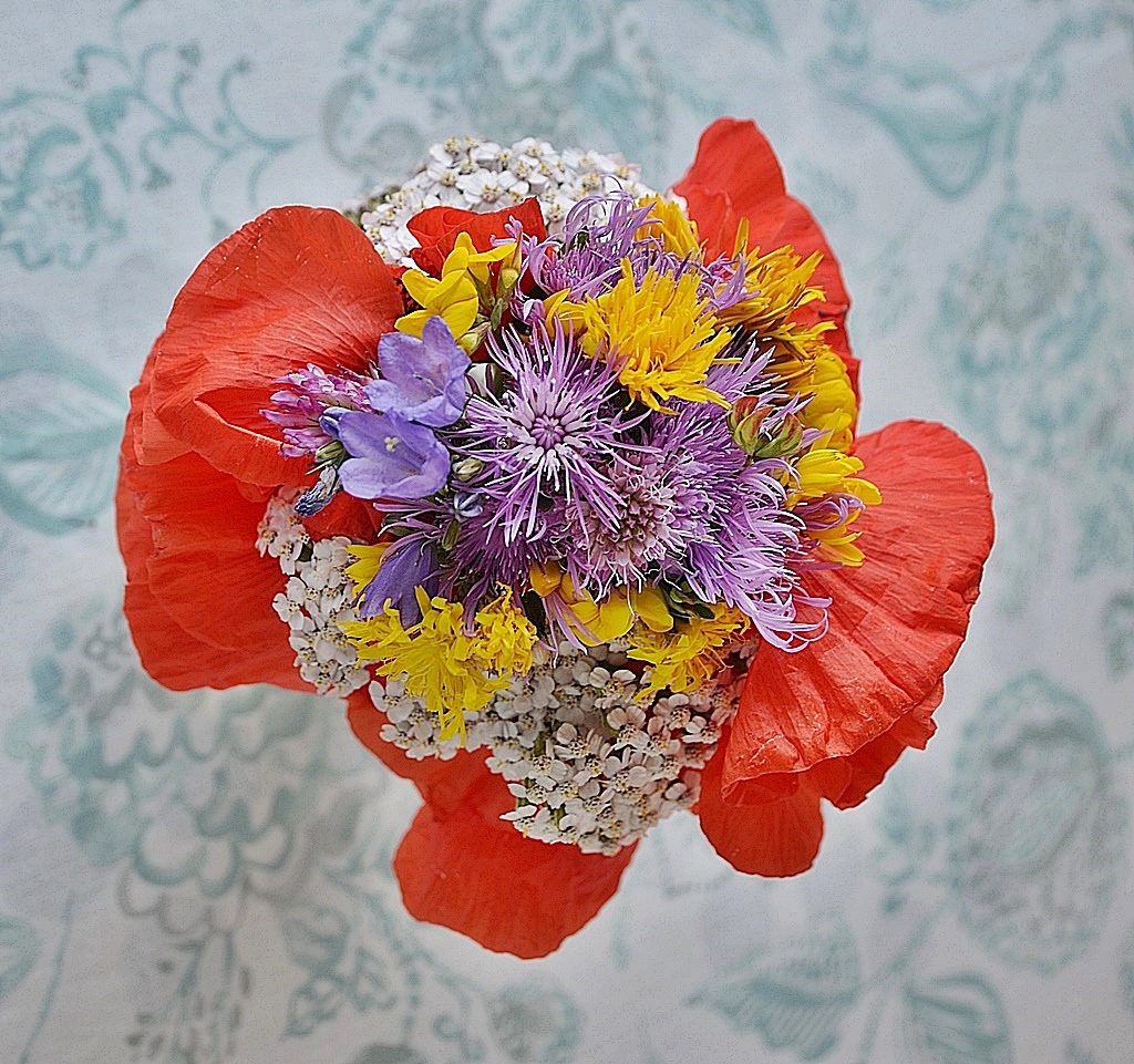 Eine "Hand voll Blumen" Roter Mohn und A.    