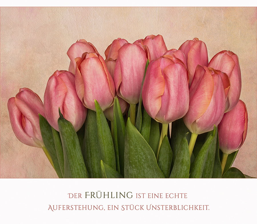 Eine Hand voll Frühling...