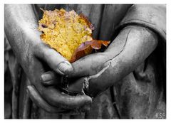 Eine Hand voll Herbst