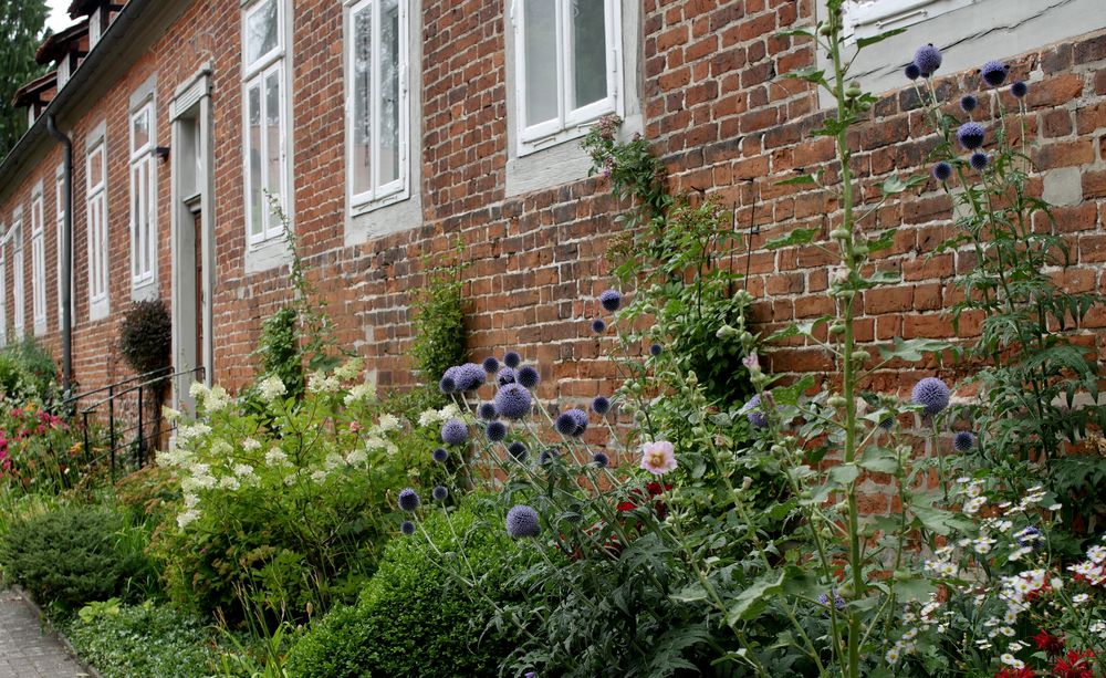 Eine Hauswand im Kloster Walsrode Foto & Bild natur, landschaft