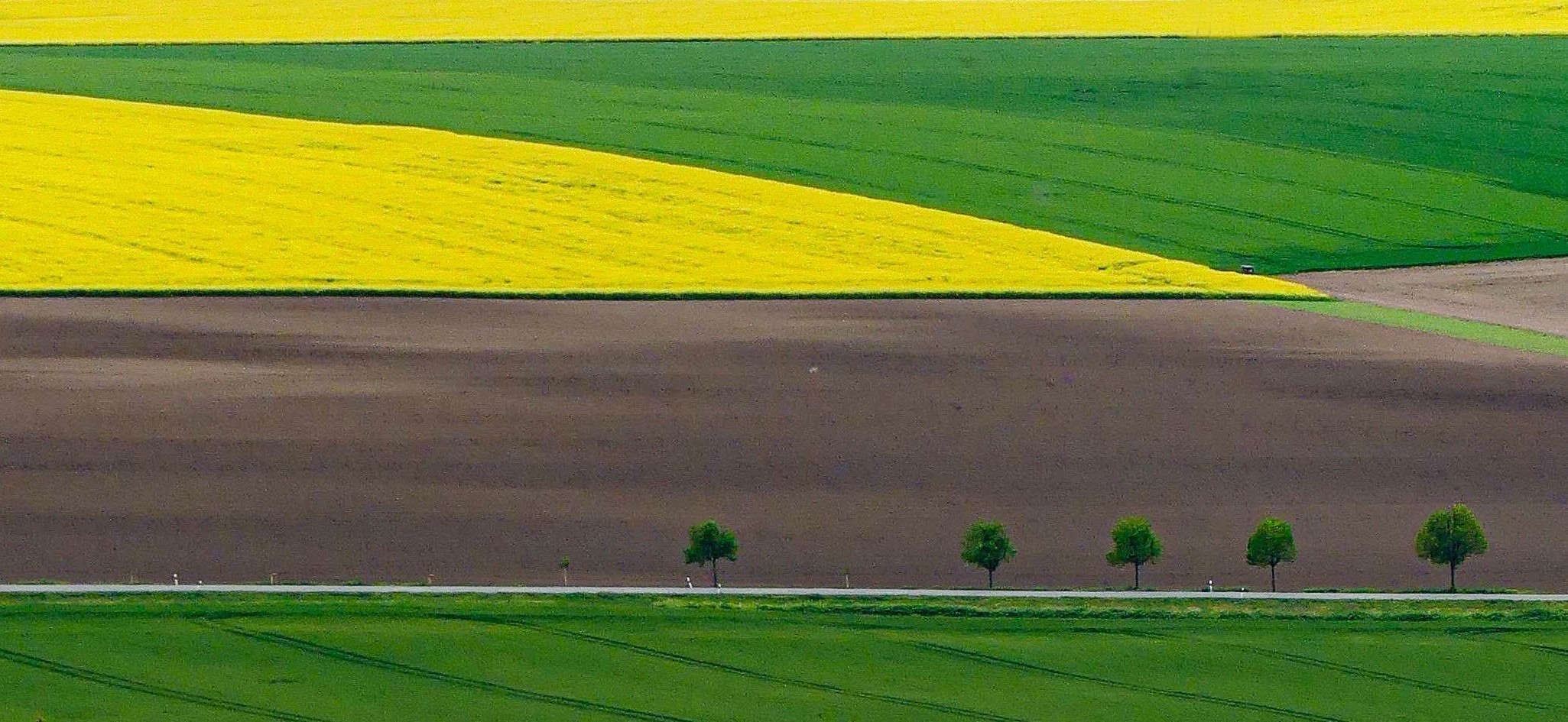 Eine Heimat für Spitzmäuse