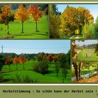 Eine Herbst Collage !