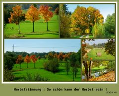 Eine Herbst Collage !