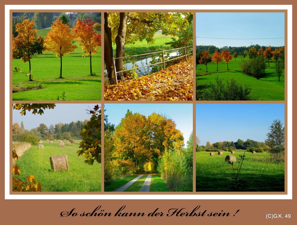 Eine Herbst Collage !