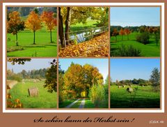 Eine Herbst Collage !