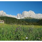 Eine Herbsterinnerung aus Südtirol ....